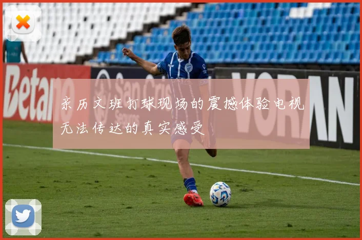 亲历文班打球现场的震撼体验电视无法传达的真实感受